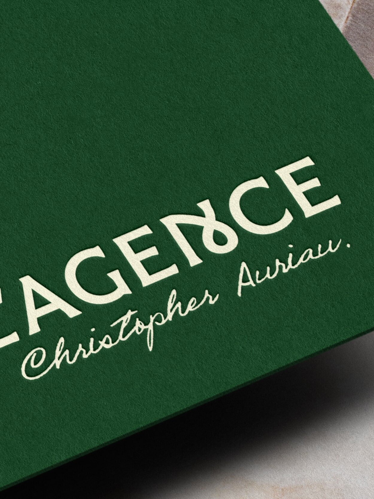 lagence christopher auriau pau immobiliere bleu juin identite visuelle logo agence
