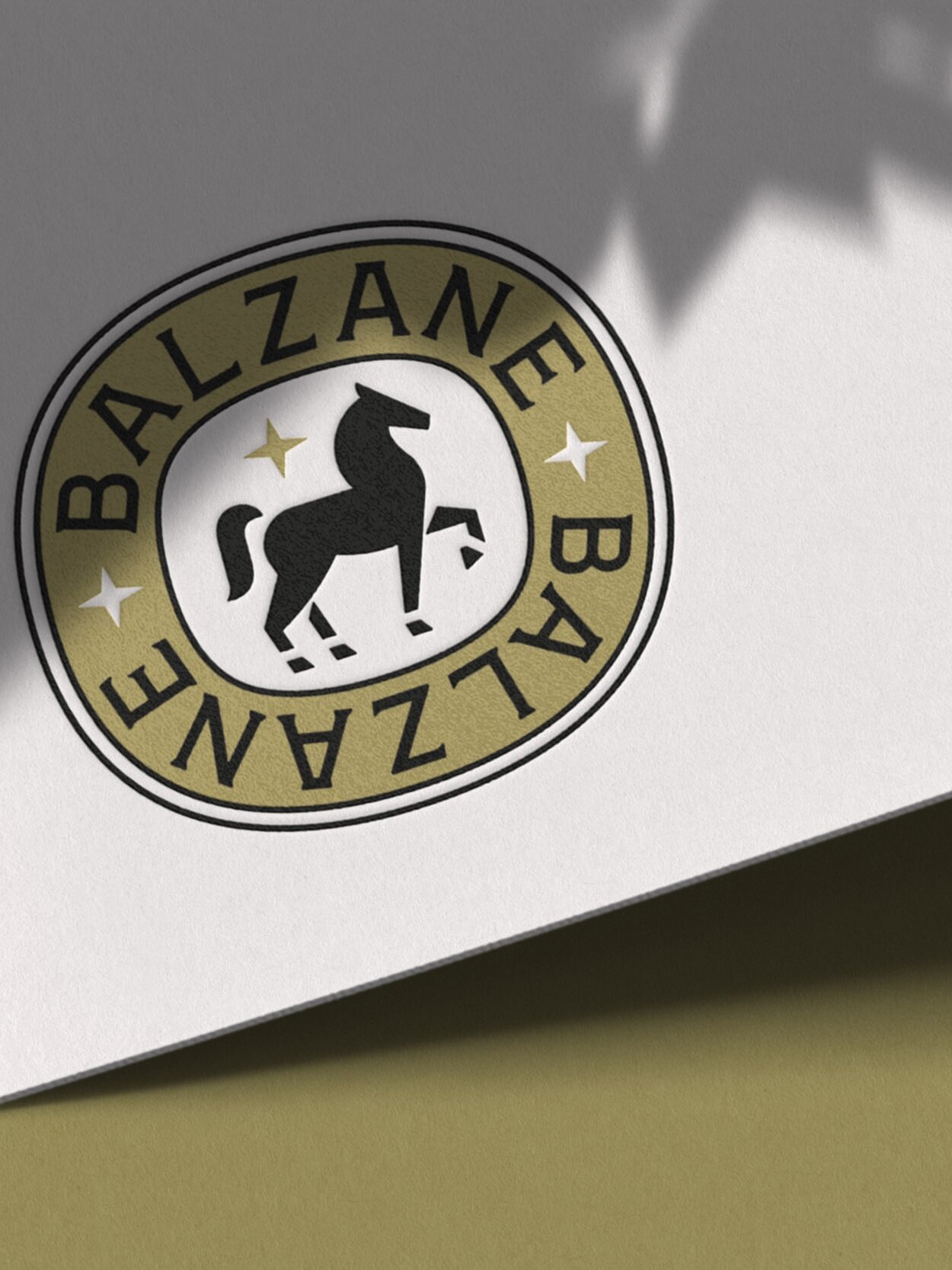 bleujuin balzane tapis selle cheval equestre equitation sud ouest marie prunel clement herbaux bearn france pyrenees logo identite branding design graphique