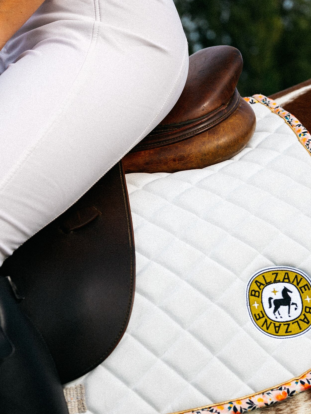 bleujuin balzane tapis selle cheval equestre equitation sud ouest marie prunel clement herbaux bearn france pyrenees logo identite branding design graphique site web internet petit matin